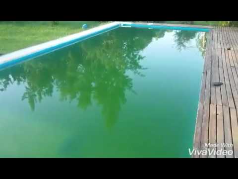 ¿Cómo recuperar el agua de la piscina?